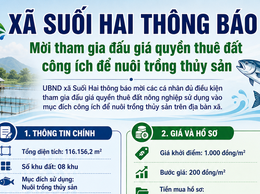 Xã Suối Hai thông báo mời tham gia đấu giá quyền thuê đất công ích để nuôi trồng thủy sản