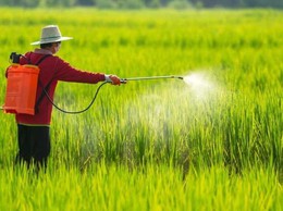 Xã Bất Bạt tăng cường chấp hành quy định sử dụng thuốc bảo vệ thực vật, bảo vệ sức khỏe cộng đồng và môi trường sinh thái