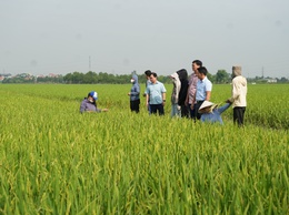 TRUNG TÂM DỊCH VỤ TỔNG HỢP TĂNG CƯỜNG THĂM ĐỒNG