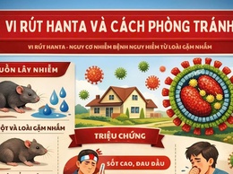 Bệnh do vi rút Hanta: Không hoang mang nhưng tuyệt đối không chủ quan