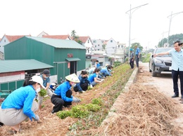 Xã Sơn Đồng triển khai xây dựng tuyến đê “Xanh - Sạch - Đẹp - Nở hoa” năm 2026
