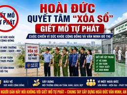 Hoài Đức quyết tâm “xóa sổ” giết mổ tự phát - cuộc chiến vì sức khỏe cộng đồng và văn minh đô thị