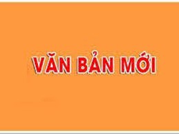 Hà Nội không yêu cầu công dân phải cung cấp xác nhận số chứng minh nhân dân 9 số, số định danh đã hủy