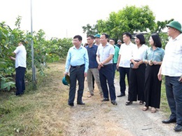 Thắm tình đoàn kết - Hội Nông dân tỉnh Nghệ An thăm quan mô hình kinh tế tiêu biểu tại xã Hoài Đức