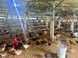 ĐOÀN TNCS HỒ CHÍ MINH XÃ XUÂN MAI TIẾP CẬN NGUỒN VỐN NHCSXH PHÁT TRIỂN KINH TẾ TẠI ĐỊA PHƯƠNG VÀ HỖ TRỢ THANH NIÊN KHỞI NGHIỆP