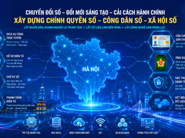Kiện toàn Ban Chỉ đạo về phát triển khoa học, công nghệ, đổi mới sáng tạo, chuyển đổi số, cải cách hành chính và Đề án 06