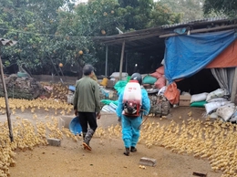THÔNG BÁO TRIỂN KHAI PHUN DIỆT RUỒI, VỆ SINH KHỬ TRÙNG TIÊU ĐỘC MÔI TRƯỜNG NĂM 2026