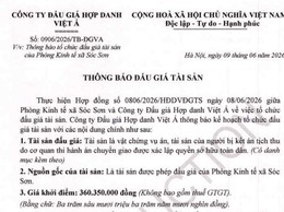 THÔNG BÁO ĐẤU GIÁ TÀI SẢN