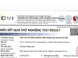 HỢP TÁC XÃ NÔNG NGHIỆP CÔNG NGHỆ CAO AN PHÚ HÀ NỘI TỰ CÔNG BỐ SẢN PHẨM TRÀ TÍA TÔ BANCHA