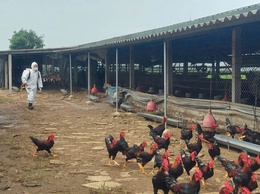 Xã Tiến Thắng đồng loạt phun khử trùng, tiêu độc phòng, chống dịch bệnh