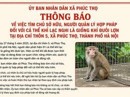 Tìm chủ sở hữu, người quản lý hợp pháp cá thể 