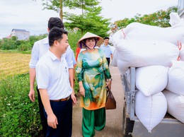 Ngày hội Lúa JAPONICA hữu cơ năm 2026: Tôn vinh giá trị lúa hữu cơ Đồng Phú