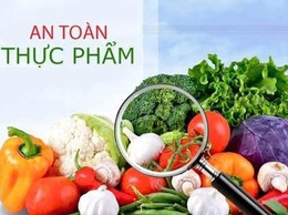 Bảo đảm an toàn thực phẩm, phòng ngừa ngộ độc thực phẩm trong dịch vụ ăn uống và thức ăn đường phố