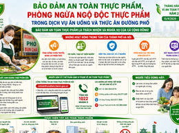 Bảo đảm an toàn thực phẩm, phòng ngừa ngộ độc thực phẩm trong dịch vụ ăn uống và thức ăn đường phố
