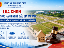 Thông báo kết quả lựa chọn tổ chức hành nghề đấu giá tài sản đối với 15 thửa đất khu Cánh Chăn nuôi