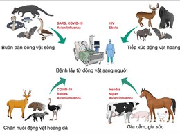 Phú Nghĩa tăng cường phòng, chống dịch bệnh lây truyền từ động vật sang người