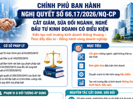 Nghị quyết về cắt giảm, sửa đổi ngành, nghề đầu tư kinh doanh có điều kiện