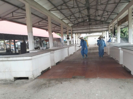 Xã Liên Minh ra quân triển khai phun diệt ruồi năm 2026 và vệ sinh khử trùng tiêu độc đợt sau tiêm phòng đại trà đợt 1/2026 trên địa bàn xã