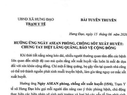 HƯỞNG ỨNG NGÀY ASEAN PHÒNG, CHỐNG SÓT XUÁT HUYẾT: CHUNG TAY DIỆT LĂNG QUĂNG, BẢO VỆ CỘNG ĐỒNG