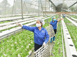Động lực để nông nghiệp Thủ đô bứt phá