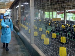 ĐỒNG LOẠT TRIỂN KHAI PHUN THUỐC SÁT TRÙNG, TIÊU ĐỘC MÔI TRƯỜNG TRÊN ĐỊA BÀN XÃ THANH OAI