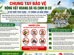 Chung tay bảo vệ các loài chim hoang dã và chim di cư vì một môi trường sinh thái an toàn và thân thiện