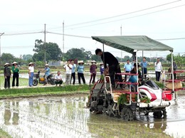 ĐẨY MẠNH CƠ GIỚI HÓA SẢN XUẤT LÚA, HƯỚNG TỚI NHỮNG CÁNH ĐỒNG MẪU LỚN