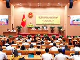Nhiều chính sách đặc thù thúc đẩy chuyển đổi số và phát triển công nghệ số
