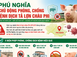 Trung tâm Dịch vụ tổng hợp xã Phú Nghĩa hướng dẫn phòng, chống bệnh Dịch tả lợn châu Phi