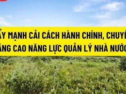 Phường Long Biên đẩy mạnh chuyển đổi số trong công tác quản lý đất đai và trật tự xây dựng