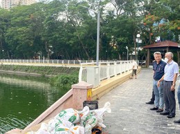 Tổng lực 
