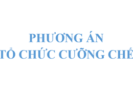 Phương án tổ chức cưỡng chế thu hồi đất để thực hiện dự án: Xây dựng hạ tầng kỹ thuật khu dân cư nông thôn tại thôn Xuân Áp, xã Tân Dân, huyện Sóc Sơn (nay là thôn Xuân Lễ, xã Kim Anh)