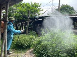 Quang Minh chủ động bảo vệ đàn vật nuôi bằng giải pháp vệ sinh, khử trùng, tiêu độc và phun diệt ruồi năm 2026