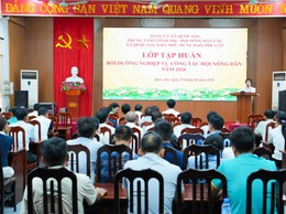 HƠN 200 CÁN BỘ, HỘI VIÊN THAM GIA TẬP HUẤN NGHIỆP VỤ CÔNG TÁC HỘI NÔNG DÂN NĂM 2026