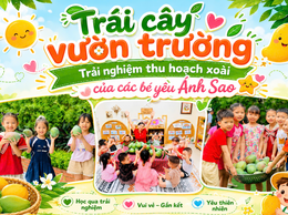 Trải nghiệm thu hoạch mùa xoài chín tại trường Mầm non Ánh Sao