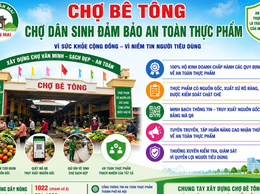 Xuân Mai xây dựng mô hình 