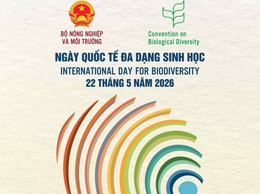 HƯỞNG ỨNG NGÀY QUỐC TẾ ĐA DẠNG SINH HỌC 22/5/2026 CHỦ ĐỀ: “HÀNH ĐỘNG CỦA ĐỊA PHƯƠNG CHO HIỆU QUẢ TOÀN CẦU”