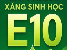 Bộ Công thương công bố cẩm nang sử dụng xăng E10