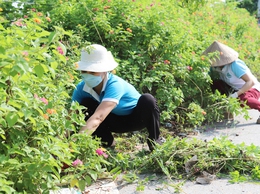 Xã Thượng Phúc đẩy mạnh các hoạt động hưởng ứng Ngày Môi trường Thế giới năm 2026