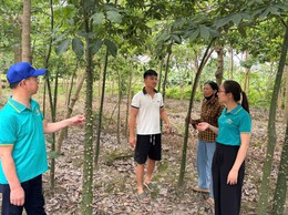 Hội Nông dân xã Gia Lâm tăng cường kiểm tra, giám sát các nguồn vốn vay hỗ trợ hội viên phát triển kinh tế