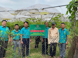 Hội Nông dân xã Ô Diên tổ chức gắn biển công trình “Hàng cây Nông dân kiểu mẫu” và mô hình sản xuất “nho hạ đen” trên địa bàn xã.