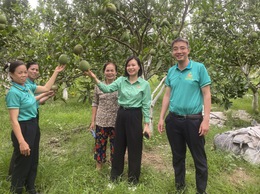 Hội Nông dân xã Thư Lâm hỗ trợ hội viên tiếp cận nguồn vốn Quỹ Hỗ trợ nông dân