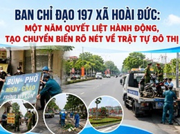 Ban Chỉ đạo 197 xã Hoài Đức: Một năm quyết liệt hành động tạo chuyển biến rõ nét về trật tự đô thị