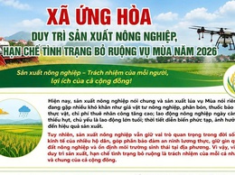 Ứng Hòa triển khai đồng bộ giải pháp hạn chế tình trạng bỏ ruộng vụ Mùa năm 2026.