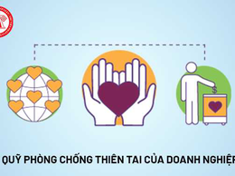 UBND phường Đống Đa thông báo về việc nộp Quỹ phòng, chống thiên tai năm 2026 đối với tổ chức kinh tế trong nước và nước ngoài trên địa bàn phường