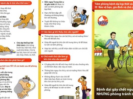 Chủ động phòng, chống bệnh dại – không chủ quan khi bị chó mèo cắn, cào hoặc liếm vào vùng da bị tổn thương