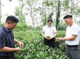 Hội Doanh nghiệp xã Suối Hai tổ chức chương trình tham quan, kết nối và chia sẻ kinh nghiệm phát triển doanh nghiệp