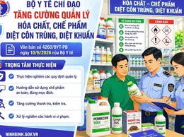 Tăng cường quản lý, sử dụng an toàn hóa chất, chế phẩm diệt côn trùng, diệt khuẩn dùng trong lĩnh vực gia dụng và y tế