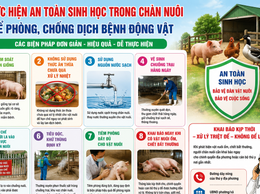 Tăng cường an toàn sinh học trong chăn nuôi – Chủ động phòng, chống dịch bệnh động vật