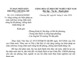 Phường Chương Mỹ tăng cường các biện pháp an toàn sinh học trong chăn nuôi để phòng, chống dịch bệnh động vật